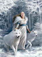 Puzzle Clementoni 1000 Anne Stokes Winter Guardians (39957) 