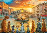 Puzzle Trefl 1000 Dogs in Venice (10944)