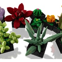Set de construcție Lego Botanicals: Succulents (10309) imaginea #4 — magazin online Desire.md