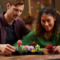 Set de construcție Lego Botanicals: Succulents (10309) imaginea #5 — magazin online Desire.md