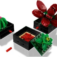 Set de construcție Lego Botanicals: Succulents (10309) imaginea #6 — magazin online Desire.md