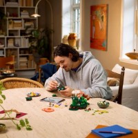 Set de construcție Lego Botanicals: Woodland Mushrooms (11505) imaginea #5 — magazin online Desire.md