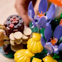 Set de construcție Lego Botanicals: Woodland Mushrooms (11505) imaginea #10 — magazin online Desire.md