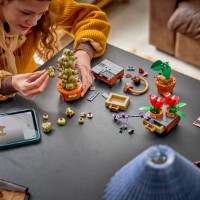Set de construcție Lego Harry Potter: Hogwart Herbology Plants (76474) imaginea #2 — magazin online Desire.md