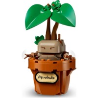 Set de construcție Lego Harry Potter: Hogwart Herbology Plants (76474) imaginea #6 — magazin online Desire.md