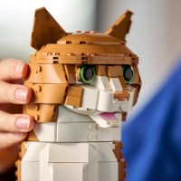 Set de construcție Lego Ideas: Orange Cat (21376) imaginea #4 — magazin online Desire.md