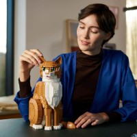 Set de construcție Lego Ideas: Orange Cat (21376) imaginea #7 — magazin online Desire.md