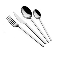 Set tacâmuri Hermia Carre Silver
