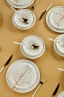 Seturi de veselă Hermia TreeLux24 imaginea #2 — magazin online Desire.md