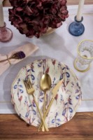 Seturi de veselă Hermia Blue Rustica imaginea #2 — magazin online Desire.md