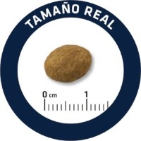 Сухой корм для собак Advance Puppy Medium 12kg фото №2 — интернет-магазин Desire.md