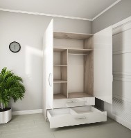 Шкаф Bafimob ШХ-100(2) Corton фото №2 — интернет-магазин Desire.md