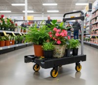 Carucior cu platforma GardenLine REA5126 imaginea #3 — magazin online Desire.md