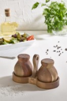 Set pentru condimente Hermia Akasya Wooden