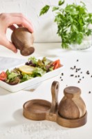 Set pentru condimente Hermia Akasya Wooden imaginea #2 — magazin online Desire.md