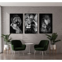 Pictură ArtShop Lions Triptych 30x45cm (SET460)