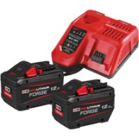Набор из зарядного устройства и 2 аккумуляторов Milwaukee 4933498610