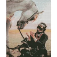 Mozaic cu diamante Strateg В пустыне с конем 30x40cm (56151)