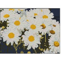 Mozaic cu diamante Strateg Ромашковое поле 30X40cm  (57303)