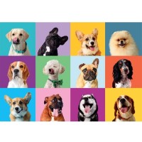 Puzzle Clementoni Funny Faces (21739)