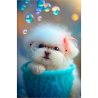 Tablou pe numere PRC Intelligent Puppy 30x40cm (PB5571)