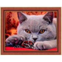 Tablou pe numere PRC Relaxing Cat  30x40cm (PB6212)