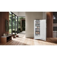 Морозильник Liebherr FNb 505i фото №5 — интернет-магазин Desire.md