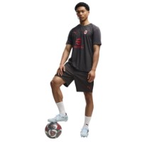 Tricou bărbătesc Puma AC Milan Training Jersey Flat Dark Gray, s.L imaginea #5 — magazin online Desire.md