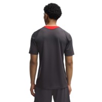 Tricou bărbătesc Puma AC Milan Training Jersey Flat Dark Gray, s.XL imaginea #4 — magazin online Desire.md
