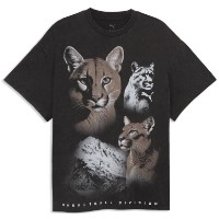 Tricou bărbătesc Puma Dylan Wildcat II Chocolate Fondue, s.XXL imaginea #1 — magazin online Desire.md