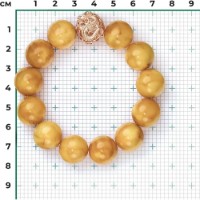 Brățară din aur rosu cu chihlimbar Platina 05-0545-00-271-1110-46 27,9g imaginea #2 — magazin online Desire.md
