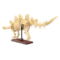 Set de construcție CaDa Stegosaurus (C59012W) imaginea #2 — magazin online Desire.md