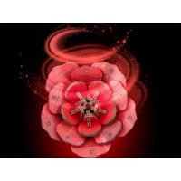 3D-puzzle Revell Art Flowers (00631) imaginea #2 — magazin online Desire.md