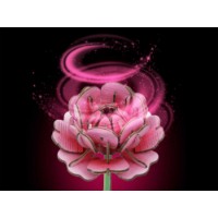 3D-puzzle Revell Art Flowers (00632) imaginea #2 — magazin online Desire.md