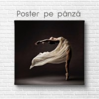 Pictură ArtShop The Dance 40x40cm (PNU238-XL-PL) imaginea #2 — magazin online Desire.md