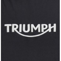 Мужская футболка Triumph Bamburgh Jet Black (MTSS20002-M) фото №3 — интернет-магазин Desire.md