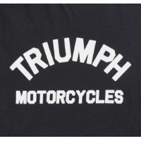 Мужская футболка Triumph Burnham Jet Black (MTSS20010-L) фото №3 — интернет-магазин Desire.md
