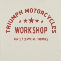 Мужская футболка Triumph Fenald Tee Rust/Bone (MTSS26228-M) фото №4 — интернет-магазин Desire.md