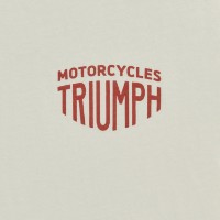Мужская футболка Triumph Fenald Tee Rust/Bone-XL (MTSS26228-XL) фото №3 — интернет-магазин Desire.md