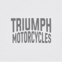 Мужская футболка Triumph Games Tee White (MTSS26226-M) фото №3 — интернет-магазин Desire.md