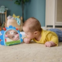 Игрушка для колясок и кроваток Fisher Price JHB45 фото №4 — интернет-магазин Desire.md