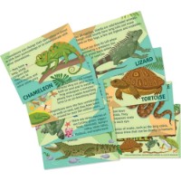 Set pentru creatie 4M Reptile&Amphibian (00-04798) imaginea #2 — magazin online Desire.md