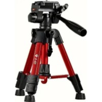 Trepied AccExpert D-60