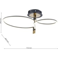 Потолочный светильник Flitz Leuchten Lira BK FL6021-C фото №3 — интернет-магазин Desire.md