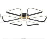 Потолочный светильник Flitz Leuchten Loop BK FL6016-C фото №3 — интернет-магазин Desire.md