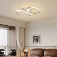 Потолочный светильник Flitz Leuchten Loop WH FL6017-C фото №2 — интернет-магазин Desire.md