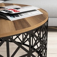 Журнальный столик Hanah Home Selin Metal Ferforje Walnut фото №3 — интернет-магазин Desire.md