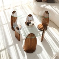 Măsuţă cafea Hanah Home Surf Chesnut Transparent imaginea #7 — magazin online Desire.md