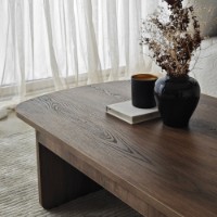 Măsuţă cafea Hanah Home Theseus Walnut imaginea #6 — magazin online Desire.md