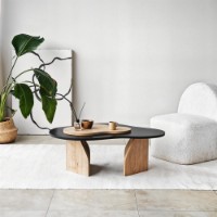 Журнальный столик Hanah Home Melted Black Sapphire Oak фото №2 — интернет-магазин Desire.md